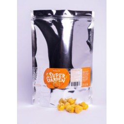 PHYSALIS LYOPHILISÉ 100 g