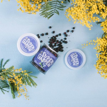 WILD BLUEBERRIES FREEZE DRIED 37g.