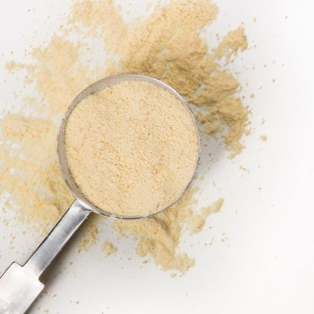 MANGO-STÜCKE GEFRIERT GEFROREN 50g
