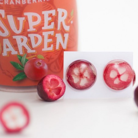 CRANBERRIES FREEZE DRIED 100g.