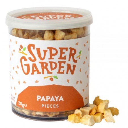 Ananas gefroren getrocknet