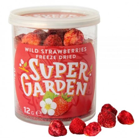 Wald-Erdbeere Wald-Erdbeere