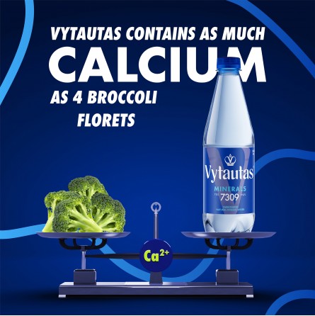 Mineralwasser Vytautas