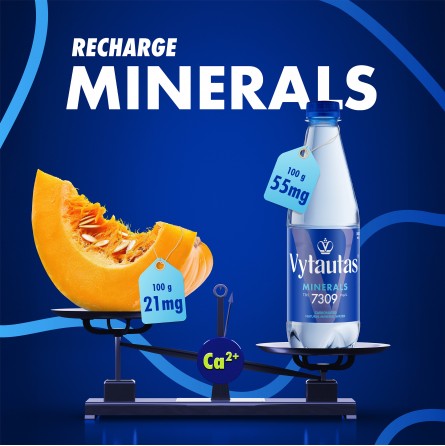 Eau minérale Vytautas